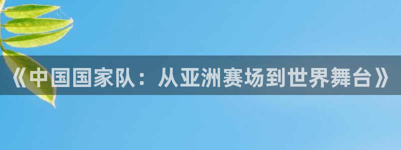 今年的世界杯:《中国国家队:从亚洲赛场到世界舞台》