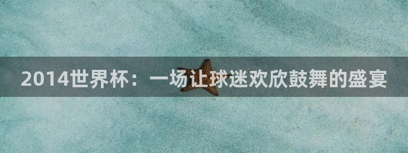 欧洲区世界杯预选赛:2014世界杯:一场让球迷欢欣鼓舞的盛宴