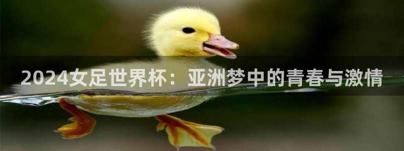 世界杯系列赛:2024女足世界杯:亚洲梦中的青春与激情