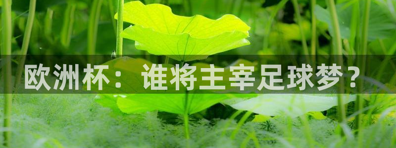 澳门世界杯直播:欧洲杯:谁将主宰足球梦?